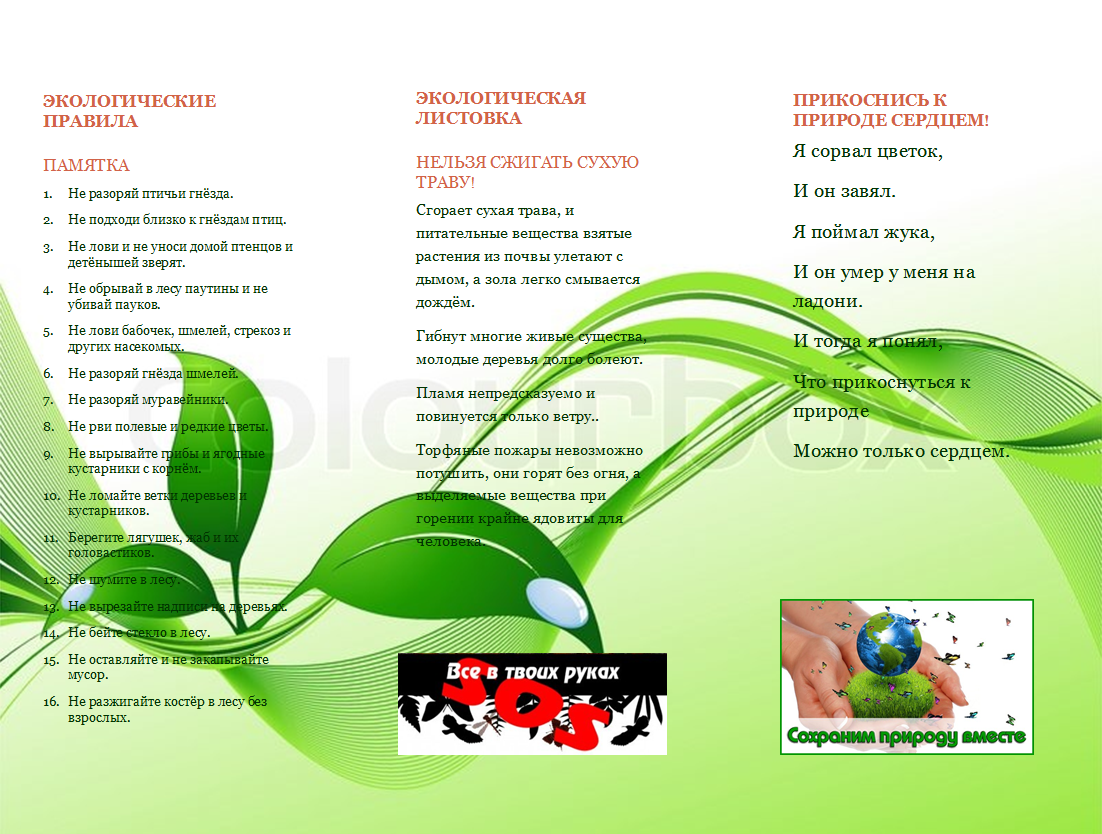 памятка по экологической безопасности и охране окружающей среды.
